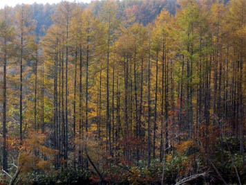 a0020929_21323888.jpg