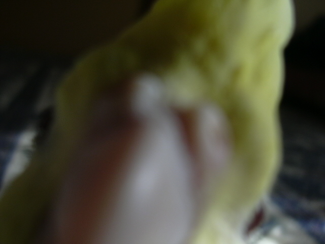 d0039036_23502673.jpg