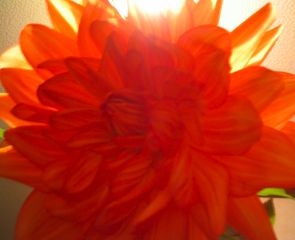 e0056237_12235660.jpg