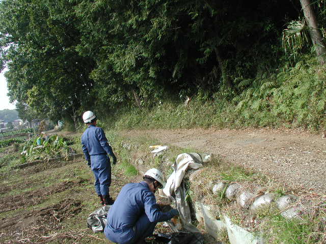a0054043_12565181.jpg