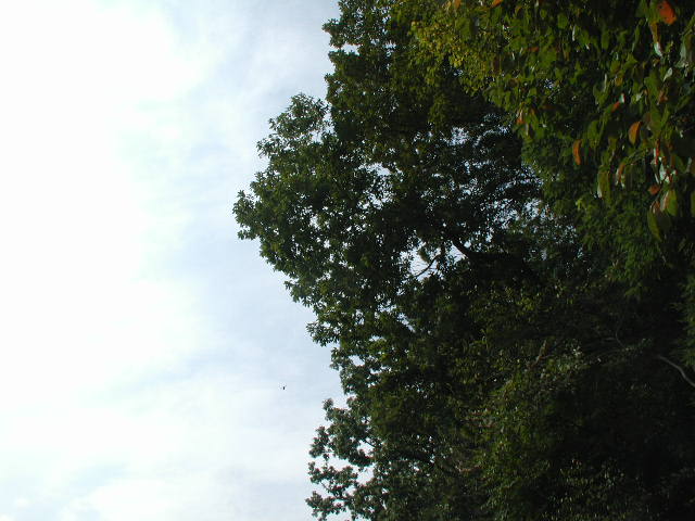 a0054043_13291279.jpg