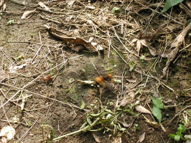 a0054043_13295187.jpg