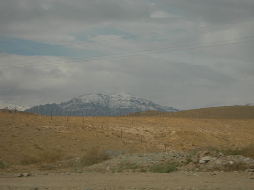 b0006449_23342479.jpg