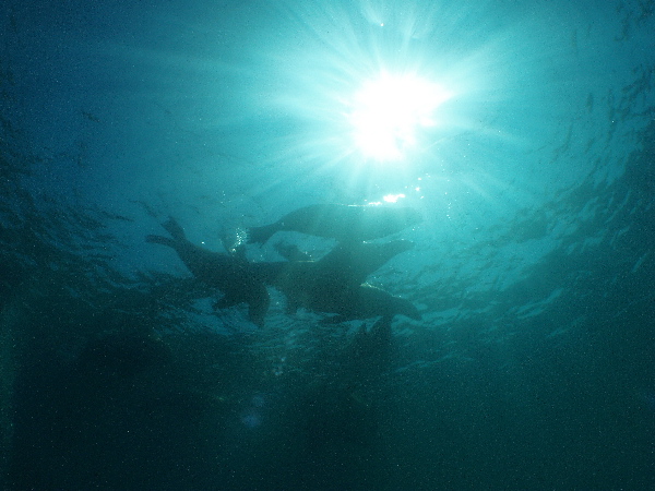 d0021952_7151652.jpg