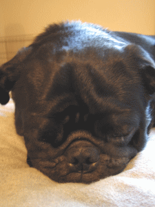b0035453_10184145.gif