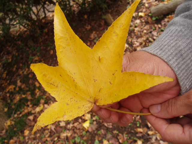 b0061261_22595840.jpg