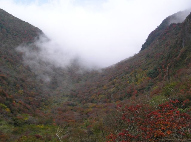 c0042869_2036687.jpg