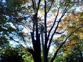 e0015270_15495373.jpg