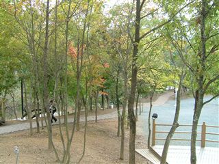 e0066772_20344018.jpg