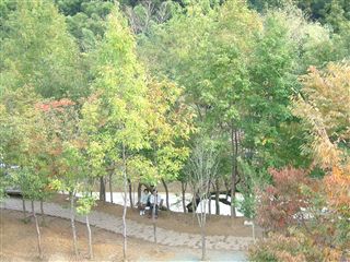 e0066772_20402851.jpg