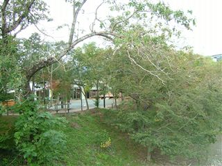 e0066772_20522957.jpg