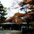 e0037673_0272643.jpg