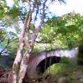 e0037673_0321471.jpg