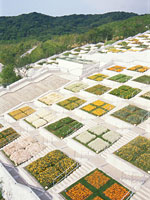 c0045175_19432636.jpg