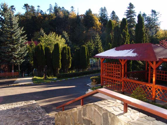 e0011584_8433410.jpg