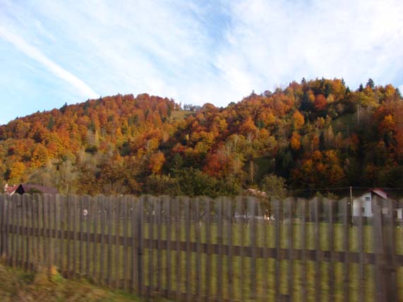 e0011584_9114319.jpg