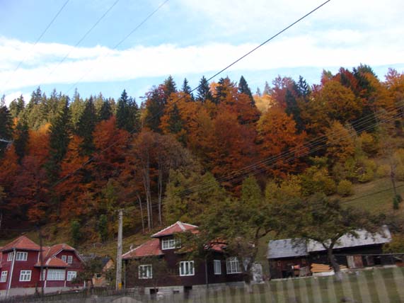 e0011584_9165637.jpg