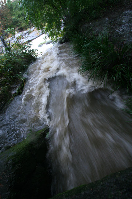 b0067789_0504090.jpg
