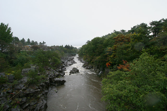 b0067789_0505919.jpg