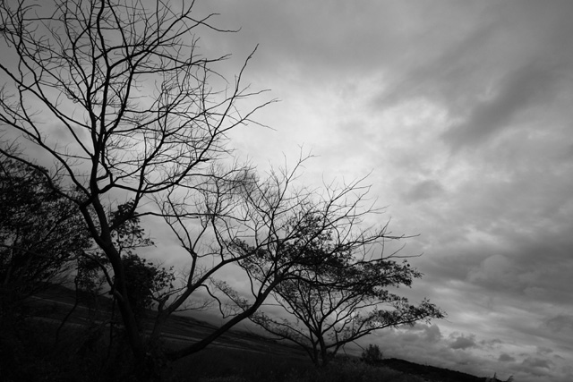 b0067789_23222339.jpg