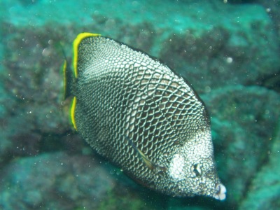 e0064291_20585578.jpg