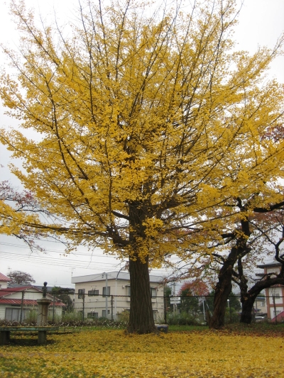 d0021097_0121967.jpg