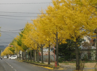 d0021097_013849.jpg