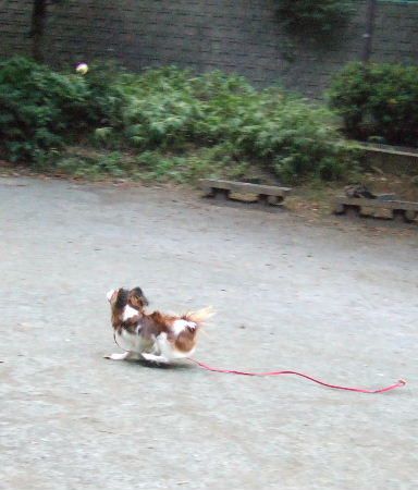 c0044199_2051161.jpg