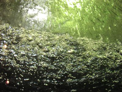 d0064399_805728.jpg