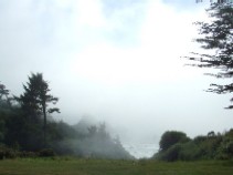 c0062603_1522027.jpg