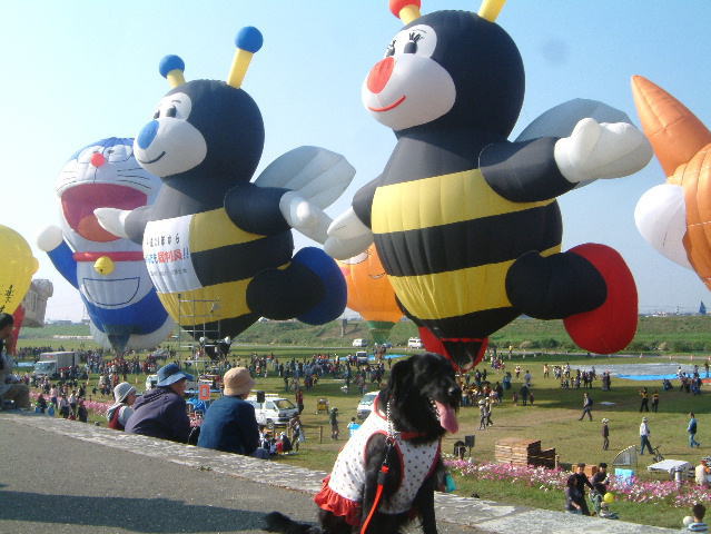 c0017311_12351928.jpg