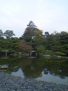e0033314_1163022.jpg
