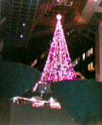b0020320_2124583.jpg