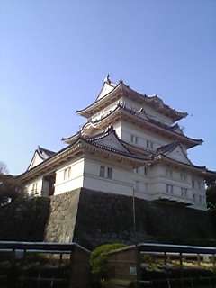 e0019320_1494015.jpg