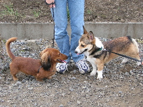 e0071225_0371714.jpg