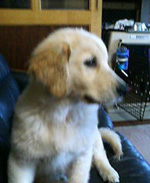 e0065928_13243540.jpg
