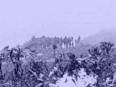 d0029829_9104189.jpg