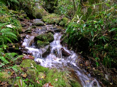 d0029829_931093.jpg