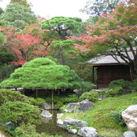 d0033734_1422061.jpg