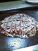 e0059940_0254062.jpg