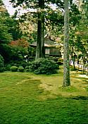 e0082441_12364617.jpg