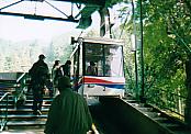 e0082441_12382641.jpg