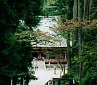 e0082441_1238578.jpg