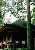 e0082441_12393814.jpg