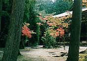 e0082441_12475934.jpg