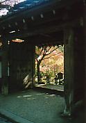 e0082441_12501291.jpg