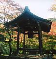 e0082441_1250375.jpg