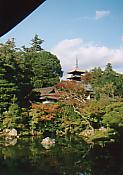 e0082441_1254243.jpg