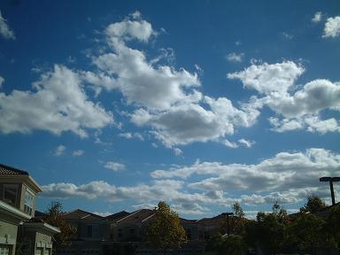 e0019942_99924.jpg