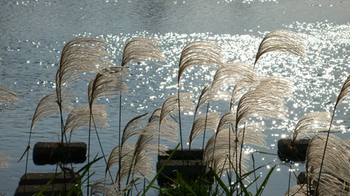 e0024944_15341726.jpg